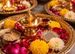 Aarthi plates