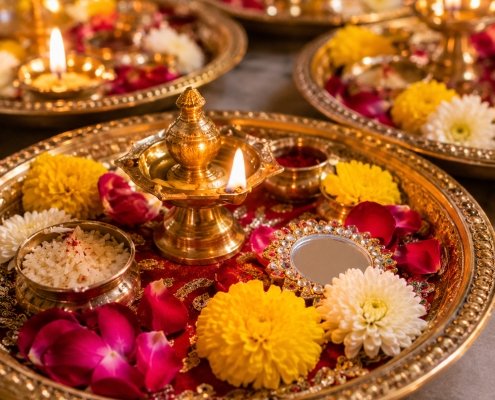 Aarthi plates