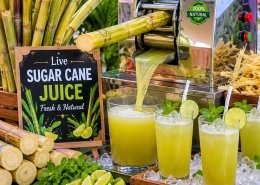 sugracane live